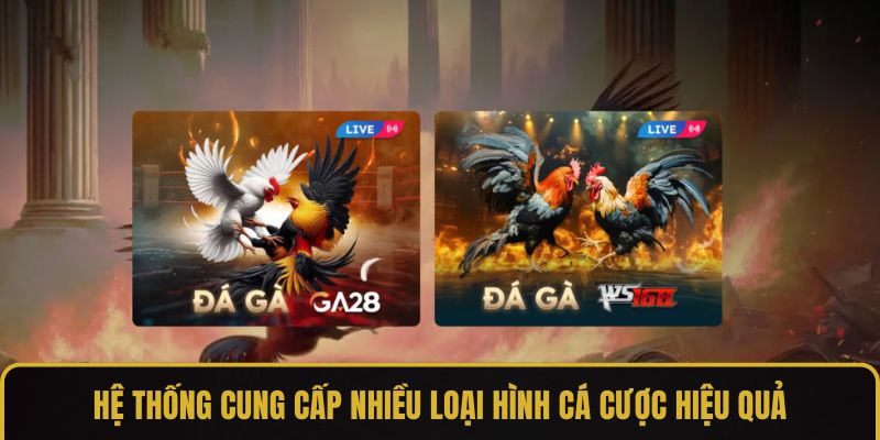 Các kiểu đá gà phổ biến hiện nay trên hệ thống