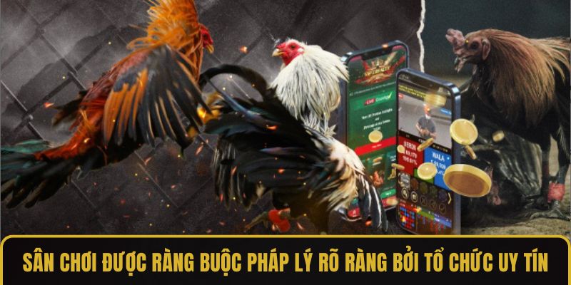 Sự đa dạng trong phương thức so tài